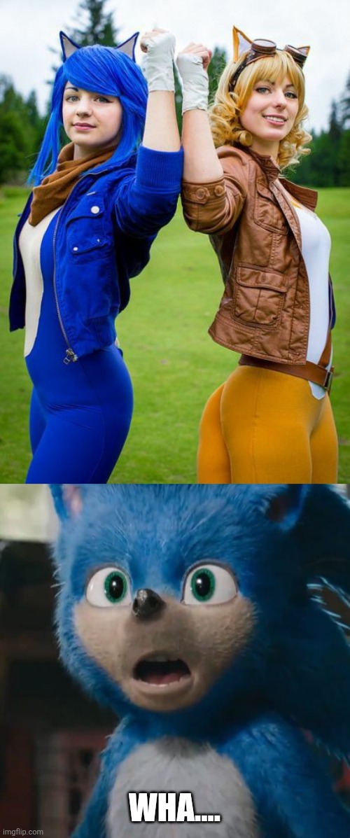 SONIC AND TAILS | WHA.... | image tagged in sonic movie,sonic the hedgehog,cosplay | made w/ Imgflip meme maker