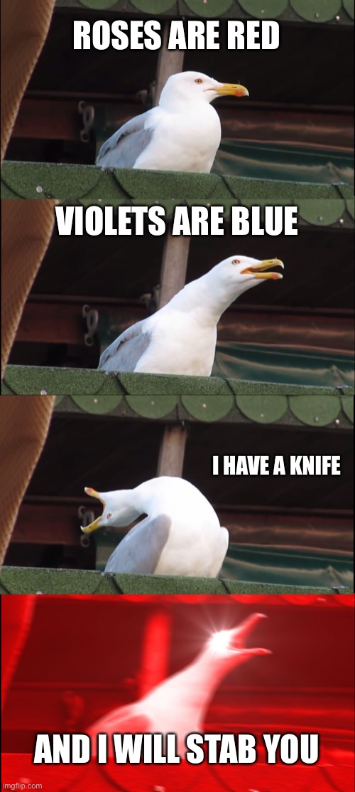???? | ROSES ARE RED; VIOLETS ARE BLUE; I HAVE A KNIFE; AND I WILL STAB YOU | image tagged in memes,inhaling seagull | made w/ Imgflip meme maker