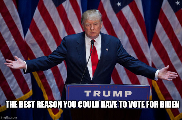 Vote Biden | THE BEST REASON YOU COULD HAVE TO VOTE FOR BIDEN | image tagged in donald trump,failure,joe biden,elections2020,help america | made w/ Imgflip meme maker