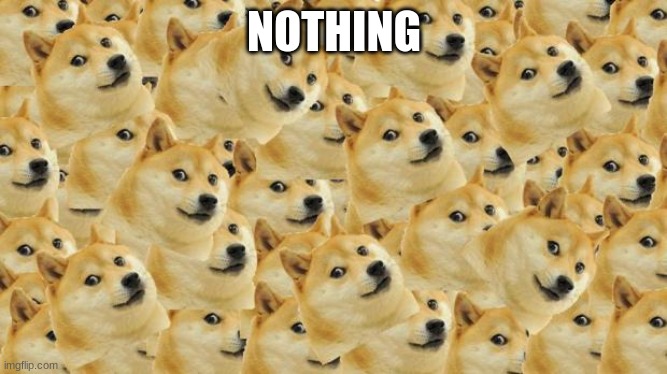 Multi Doge Meme | NOTHING | image tagged in memes,multi doge | made w/ Imgflip meme maker