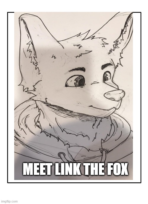 This is link :3 | MEET LINK THE FOX | made w/ Imgflip meme maker