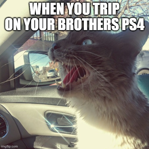 panicking cat | WHEN YOU TRIP ON YOUR BROTHERS PS4 | image tagged in panicking cat | made w/ Imgflip meme maker