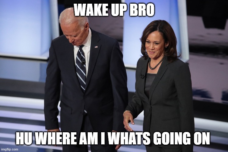 Sleepy Joe and the Ho | WAKE UP BRO; HU WHERE AM I WHATS GOING ON | image tagged in sleepy joe and the ho | made w/ Imgflip meme maker