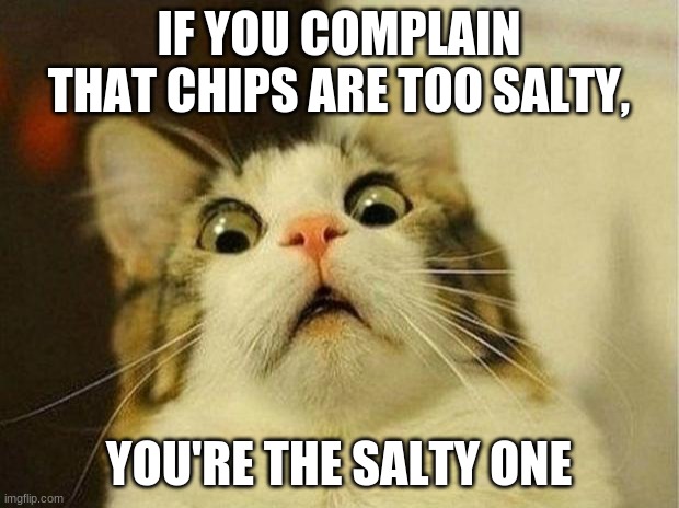 Scared Cat Meme | IF YOU COMPLAIN THAT CHIPS ARE TOO SALTY, YOU'RE THE SALTY ONE | image tagged in memes,scared cat | made w/ Imgflip meme maker