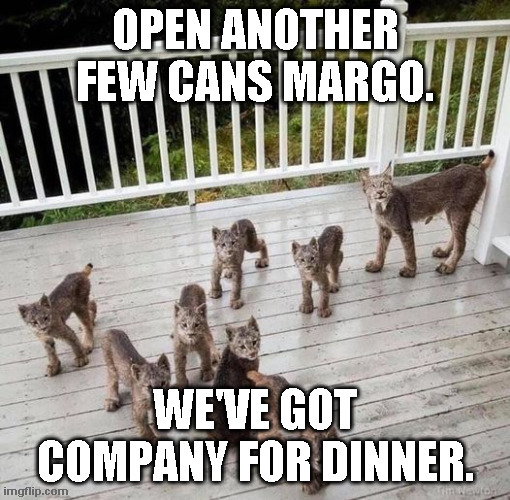 Company for Dinner | OPEN ANOTHER FEW CANS MARGO. WE'VE GOT COMPANY FOR DINNER. | image tagged in cats,lynx | made w/ Imgflip meme maker