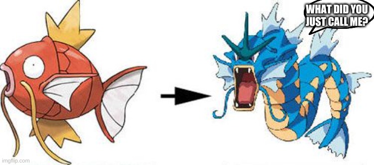 Magikarp gyarados | WHAT DID YOU JUST CALL ME? | image tagged in magikarp gyarados | made w/ Imgflip meme maker