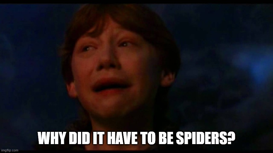 Ron weasley panic now | WHY DID IT HAVE TO BE SPIDERS? | image tagged in ron weasley panic now | made w/ Imgflip meme maker