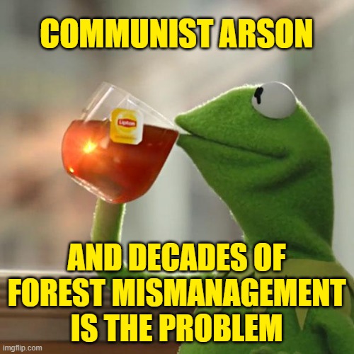 But That's None Of My Business Meme | COMMUNIST ARSON AND DECADES OF FOREST MISMANAGEMENT IS THE PROBLEM | image tagged in memes,but that's none of my business,kermit the frog | made w/ Imgflip meme maker