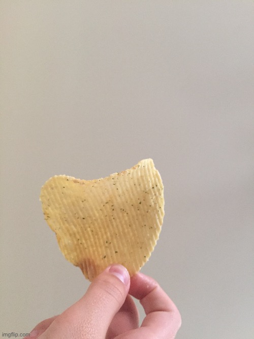 This potato chip that is larger than the palm of my hand | image tagged in enourmous food,hand reveal,ceiling reveal i guess | made w/ Imgflip meme maker