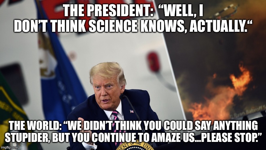THE PRESIDENT:  “WELL, I DON’T THINK SCIENCE KNOWS, ACTUALLY.“; THE WORLD: “WE DIDN’T THINK YOU COULD SAY ANYTHING STUPIDER, BUT YOU CONTINUE TO AMAZE US...PLEASE STOP.” | image tagged in trump,climate change,stupid people,wildfires | made w/ Imgflip meme maker