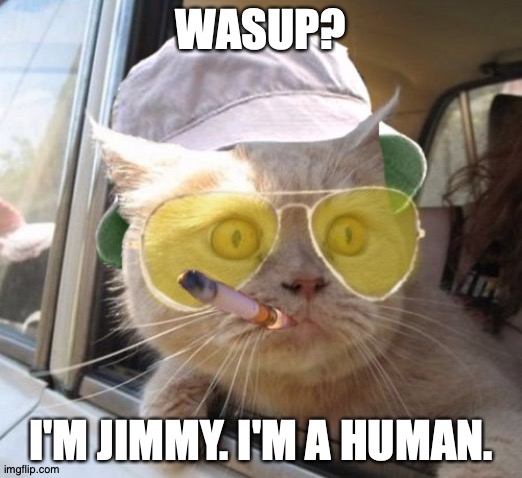 I'm a human. | WASUP? I'M JIMMY. I'M A HUMAN. | image tagged in memes,fear and loathing cat | made w/ Imgflip meme maker