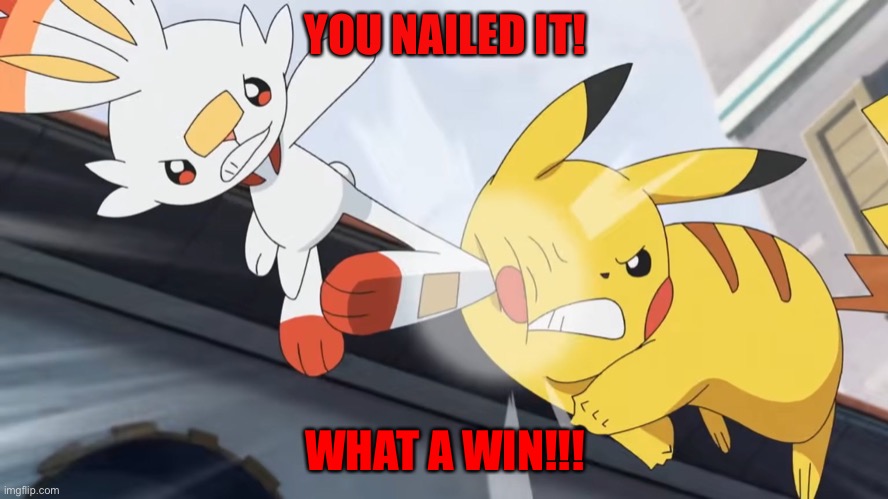 YOU NAILED IT! WHAT A WIN!!! | image tagged in pokemon go | made w/ Imgflip meme maker
