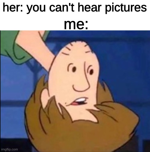 you would get it if you are a true memer | her: you can't hear pictures; me: | image tagged in memes | made w/ Imgflip meme maker