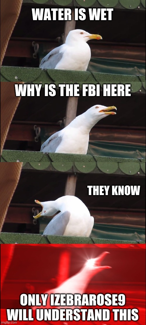 just a normal discord conversation | WATER IS WET; WHY IS THE FBI HERE; THEY KNOW; ONLY IZEBRAROSE9 WILL UNDERSTAND THIS | image tagged in memes,inhaling seagull | made w/ Imgflip meme maker
