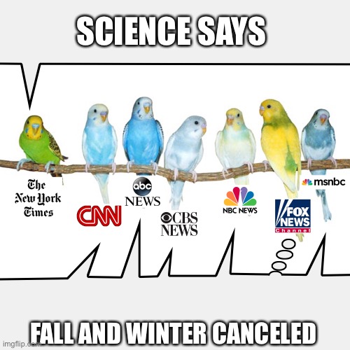 Parakeet MSM | SCIENCE SAYS; FALL AND WINTER CANCELED | image tagged in parakeet msm,climate change hoax,memes,fake news,bullshit,pumpkin spice | made w/ Imgflip meme maker