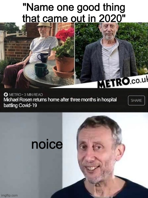 the "Noice" guy survived the virus. Noice. | "Name one good thing that came out in 2020"; noice | image tagged in noice,michael rosen,nice michael rosen,coronavirus | made w/ Imgflip meme maker