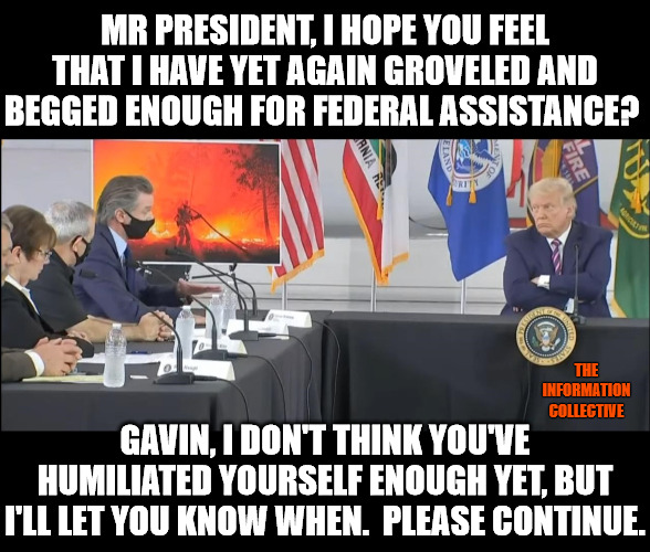 Dude seriously, watching that video of you begging Trump for money was priceless! | MR PRESIDENT, I HOPE YOU FEEL THAT I HAVE YET AGAIN GROVELED AND BEGGED ENOUGH FOR FEDERAL ASSISTANCE? THE INFORMATION COLLECTIVE; GAVIN, I DON'T THINK YOU'VE HUMILIATED YOURSELF ENOUGH YET, BUT I'LL LET YOU KNOW WHEN.  PLEASE CONTINUE. | image tagged in memes,politics,california,joe biden,election 2020,donald trump | made w/ Imgflip meme maker