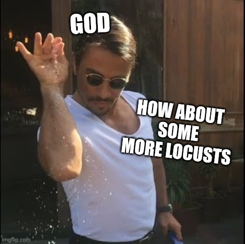 salt bae | GOD HOW ABOUT SOME MORE LOCUSTS | image tagged in salt bae | made w/ Imgflip meme maker