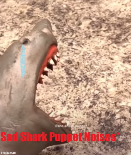 shark puppet is sad | image tagged in shark puppet is sad | made w/ Imgflip meme maker