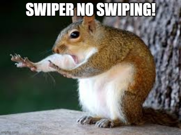 Swiper No Swiping! | image tagged in squirrel,swiper | made w/ Imgflip meme maker