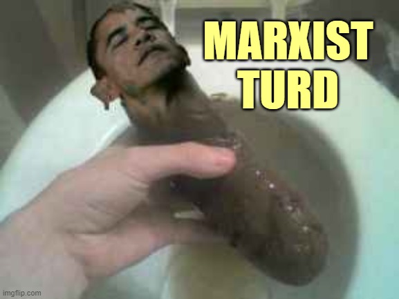 Obama Turd | MARXIST
TURD | image tagged in obama turd | made w/ Imgflip meme maker