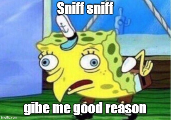 Sniff sniff gibe me good reason | image tagged in memes,mocking spongebob | made w/ Imgflip meme maker