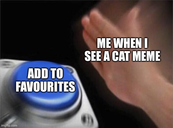 Cat addict | ME WHEN I SEE A CAT MEME; ADD TO FAVOURITES | image tagged in memes,blank nut button | made w/ Imgflip meme maker