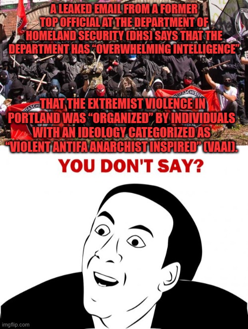 A LEAKED EMAIL FROM A FORMER TOP OFFICIAL AT THE DEPARTMENT OF HOMELAND SECURITY (DHS) SAYS THAT THE DEPARTMENT HAS “OVERWHELMING INTELLIGENCE”; THAT THE EXTREMIST VIOLENCE IN PORTLAND WAS “ORGANIZED” BY INDIVIDUALS WITH AN IDEOLOGY CATEGORIZED AS “VIOLENT ANTIFA ANARCHIST INSPIRED” (VAAI). | image tagged in memes,you don't say,antifa | made w/ Imgflip meme maker