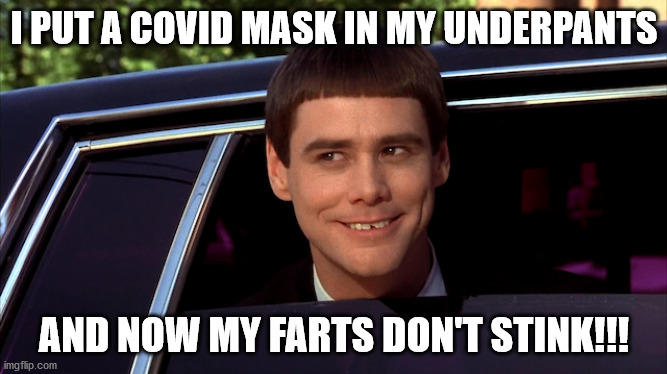 I PUT A COVID MASK IN MY UNDERPANTS; AND NOW MY FARTS DON'T STINK!!! | made w/ Imgflip meme maker