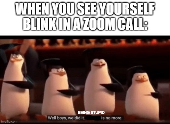 You know when you blink, but can't see yourself blink? | WHEN YOU SEE YOURSELF BLINK IN A ZOOM CALL:; BEING STUPID | image tagged in well boys we did it blank is no more | made w/ Imgflip meme maker