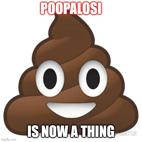 poop | POOPALOSI; IS NOW A THING | image tagged in democrats | made w/ Imgflip meme maker