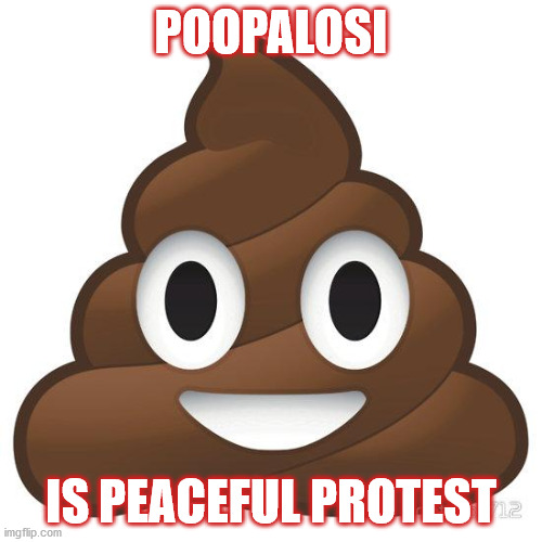 poop | POOPALOSI; IS PEACEFUL PROTEST | image tagged in poop | made w/ Imgflip meme maker