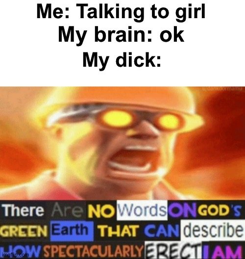 It always happens... | Me: Talking to girl; My brain: ok; My dick: | image tagged in no words | made w/ Imgflip meme maker