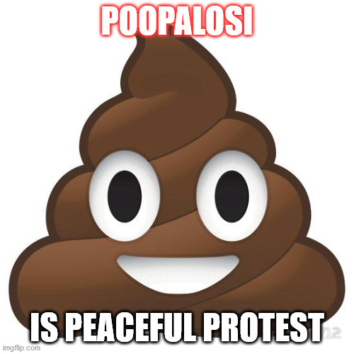 POOPALOSI | POOPALOSI; IS PEACEFUL PROTEST | image tagged in memes | made w/ Imgflip meme maker