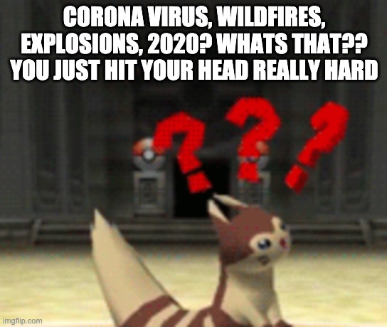 Imagine... | CORONA VIRUS, WILDFIRES, EXPLOSIONS, 2020? WHATS THAT?? YOU JUST HIT YOUR HEAD REALLY HARD | image tagged in confused furret,furret | made w/ Imgflip meme maker