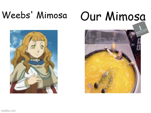 Chris Jericho gets splashed. | Our Mimosa; Weebs' Mimosa | image tagged in blank white template,black clover,chris jericho | made w/ Imgflip meme maker
