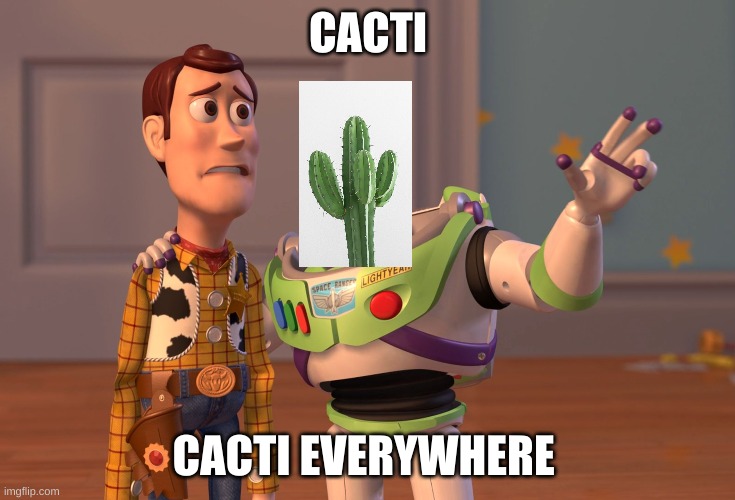My idea of a perfect world | CACTI; CACTI EVERYWHERE | image tagged in memes,x x everywhere,cactus,cacti,you were so drunk last night,funny memes | made w/ Imgflip meme maker