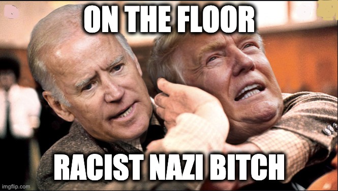 ON THE FLOOR; RACIST NAZI BITCH | image tagged in memes,trump,gop,nazis,law and order,white supremacy | made w/ Imgflip meme maker