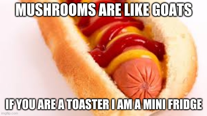 hot dog | MUSHROOMS ARE LIKE GOATS; IF YOU ARE A TOASTER I AM A MINI FRIDGE | image tagged in hot dog | made w/ Imgflip meme maker