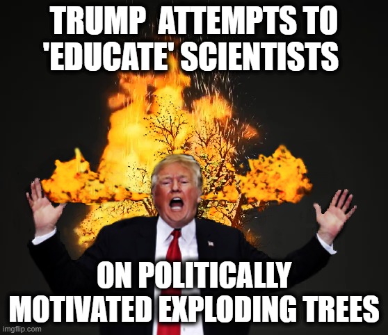 Just Another Day in Trump World | TRUMP  ATTEMPTS TO 'EDUCATE' SCIENTISTS; ON POLITICALLY MOTIVATED EXPLODING TREES | image tagged in trump is a moron,donald trump is an idiot,wildfires,scientist | made w/ Imgflip meme maker