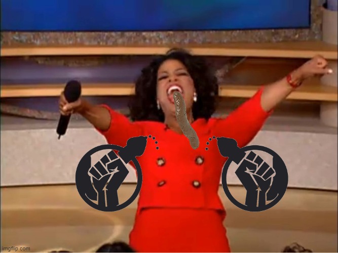 Oprah you get a.... | image tagged in oprah you get a | made w/ Imgflip meme maker