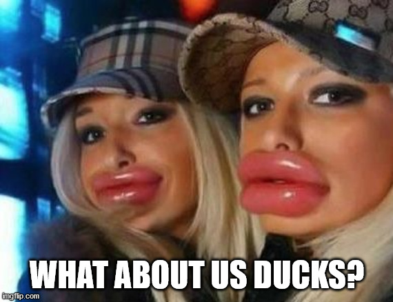 Duck Face Chicks Meme | WHAT ABOUT US DUCKS? | image tagged in memes,duck face chicks | made w/ Imgflip meme maker
