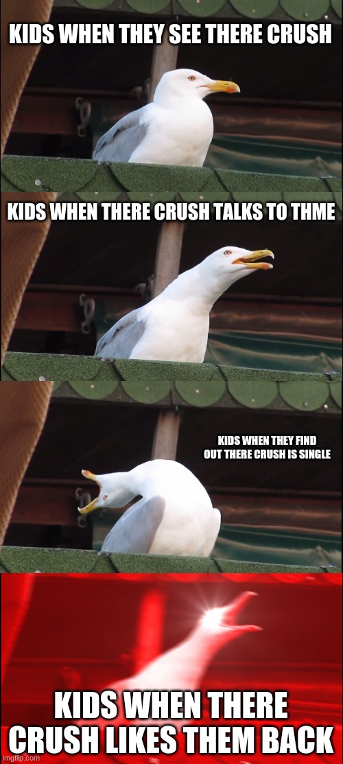 Inhaling Seagull | KIDS WHEN THEY SEE THERE CRUSH; KIDS WHEN THERE CRUSH TALKS TO THME; KIDS WHEN THEY FIND OUT THERE CRUSH IS SINGLE; KIDS WHEN THERE CRUSH LIKES THEM BACK | image tagged in memes,inhaling seagull | made w/ Imgflip meme maker