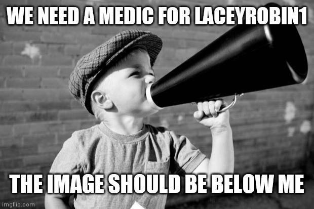 megaphone | WE NEED A MEDIC FOR LACEYROBIN1; THE IMAGE SHOULD BE BELOW ME | image tagged in megaphone | made w/ Imgflip meme maker