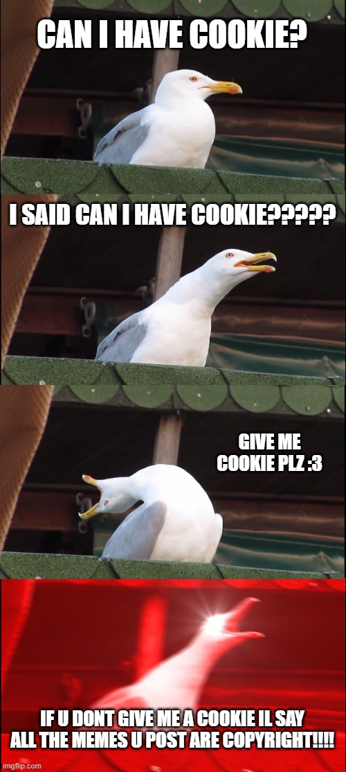 Inhaling Seagull | CAN I HAVE COOKIE? I SAID CAN I HAVE COOKIE????? GIVE ME COOKIE PLZ :3; IF U DONT GIVE ME A COOKIE IL SAY ALL THE MEMES U POST ARE COPYRIGHT!!!! | image tagged in memes,inhaling seagull | made w/ Imgflip meme maker