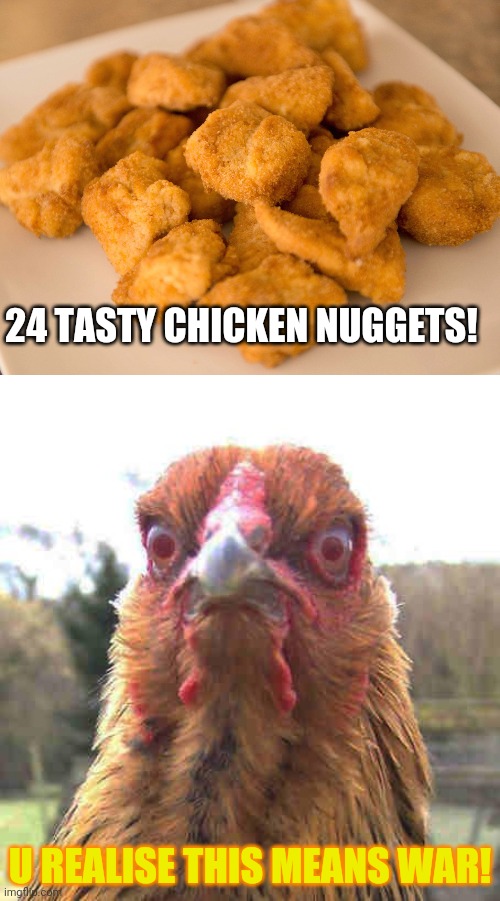 Angry chicken | 24 TASTY CHICKEN NUGGETS! U REALISE THIS MEANS WAR! | image tagged in revenge chicken,chicken nuggets | made w/ Imgflip meme maker