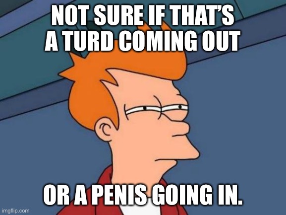 Futurama Fry Meme | NOT SURE IF THAT’S A TURD COMING OUT OR A PENIS GOING IN. | image tagged in memes,futurama fry | made w/ Imgflip meme maker