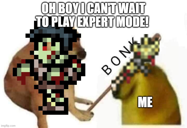expert mode zombies 2 shot me | OH BOY I CAN'T WAIT TO PLAY EXPERT MODE! ME | image tagged in terraria | made w/ Imgflip meme maker