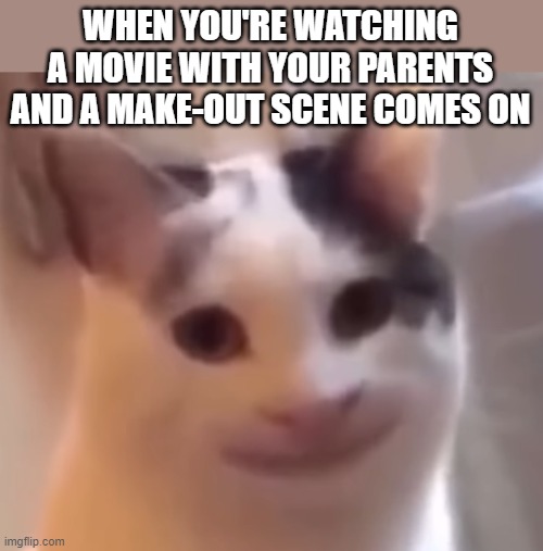 WHEN YOU'RE WATCHING A MOVIE WITH YOUR PARENTS AND A MAKE-OUT SCENE COMES ON | image tagged in awkward,cat,parents | made w/ Imgflip meme maker