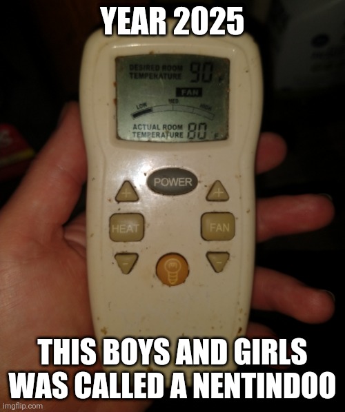 Nentindoo | YEAR 2025; THIS BOYS AND GIRLS WAS CALLED A NENTINDOO | image tagged in gameboy,history,tech,ancient,satire | made w/ Imgflip meme maker